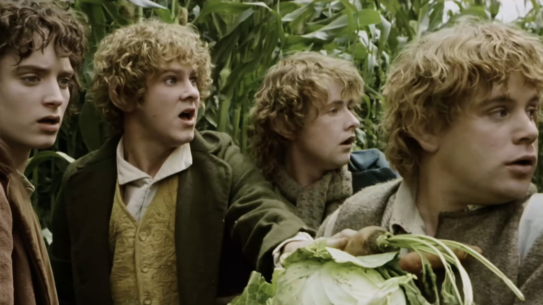 Frodo, Merry, Pippin, and Sam at Farmer Maggot's fields in The Fellowship of the Ring