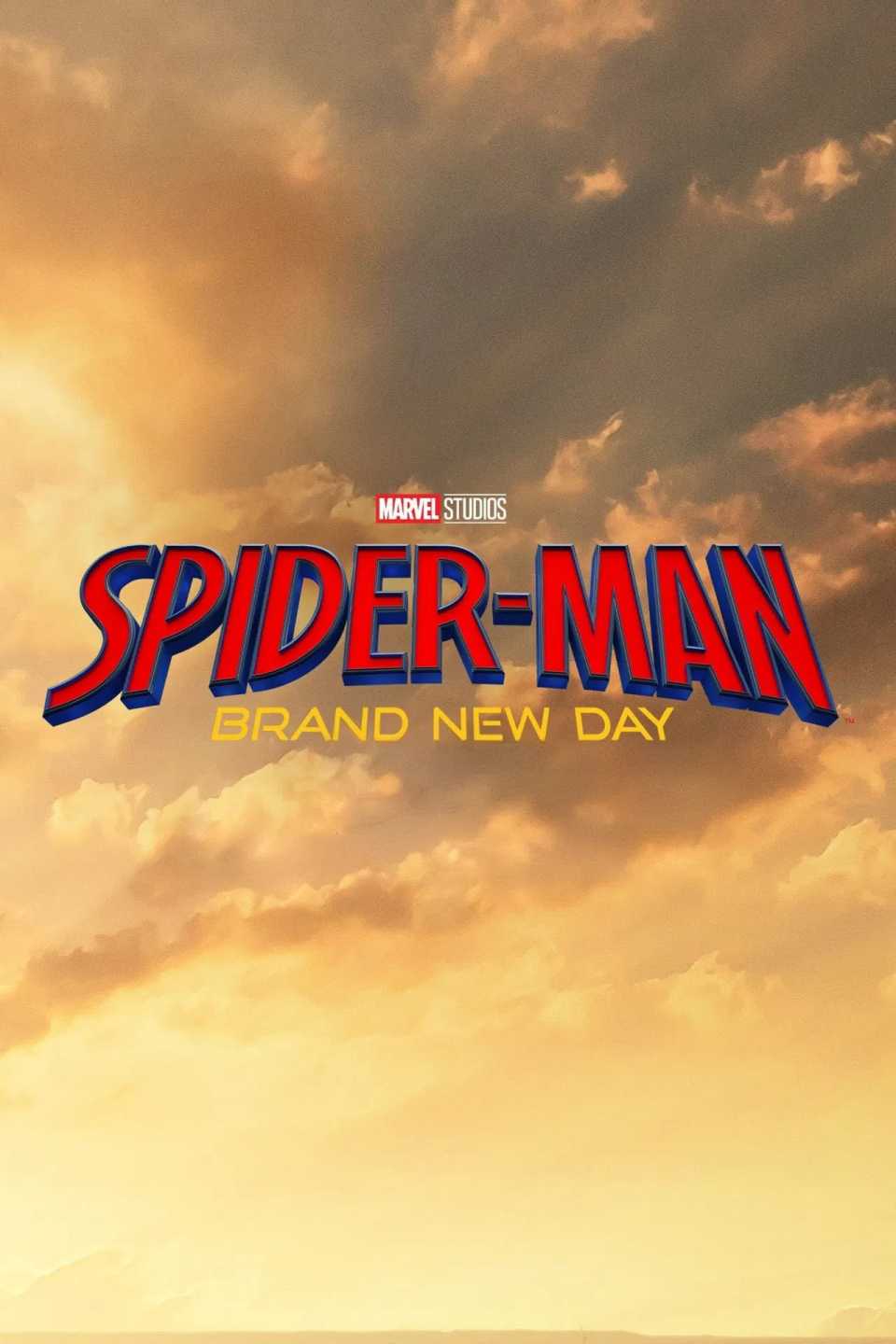 spider-man-brand-new-day-poster.jpg
