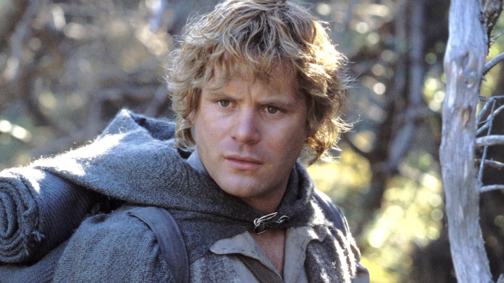 Samwise Gamgee looking pissed off in The Lord of the Rings