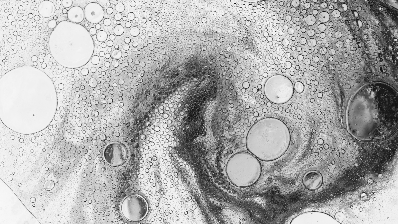 On Feeling Out of Anthropic Settlement (Because They Respected My Book)