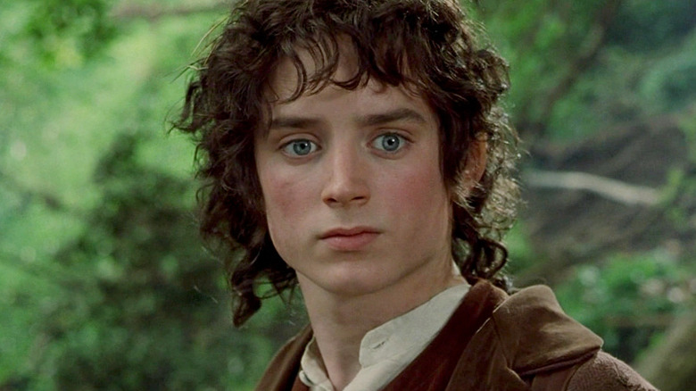 Frodo looks thoughtful in The Lord of the Rings: The Fellowship of the Ring